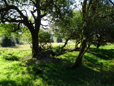 Von Schmiedefeld nach Oberhof - Start in Schmiedefeld