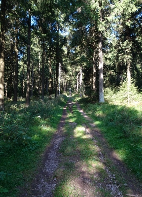 Von Schmiedefeld nach Oberhof - Start in Schmiedefeld