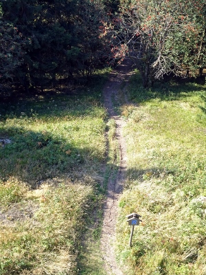 Von Schmiedefeld nach Oberhof - Großer Finsterberg