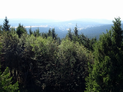 Von Schmiedefeld nach Oberhof - Großer Finsterberg