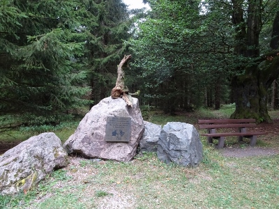 Von Oberhof nach Floh-Seligenthal - Start im Nebel