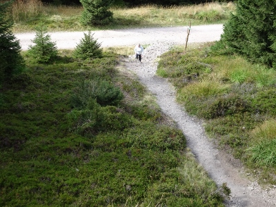 Von Oberhof nach Floh-Seligenthal - Vom Nebel in die Sonne