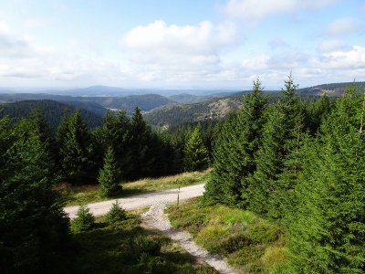 Von Oberhof nach Floh-Seligenthal - Vom Nebel in die Sonne