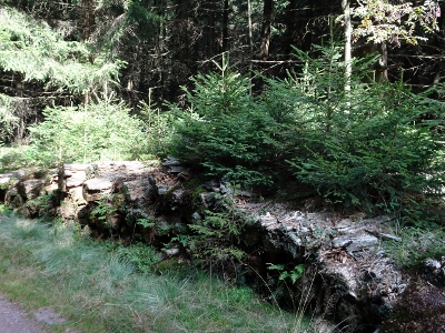 Von Oberhof nach Floh-Seligenthal - Vom Nebel in die Sonne