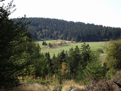 Von Oberhof nach Floh-Seligenthal - Ebertswiese