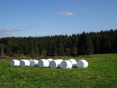 Von Oberhof nach Floh-Seligenthal - Ebertswiese