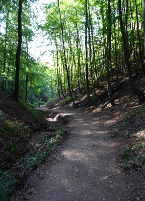 Von Ruhla nach Eisenach - Drachenschlucht