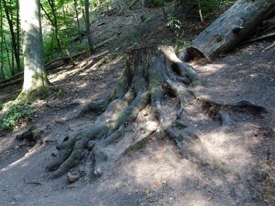 Von Ruhla nach Eisenach - Drachenschlucht