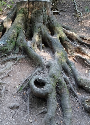 Von Ruhla nach Eisenach - Drachenschlucht