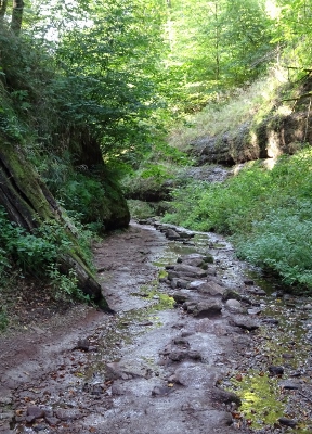Von Ruhla nach Eisenach - Drachenschlucht