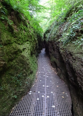 Von Ruhla nach Eisenach - Drachenschlucht