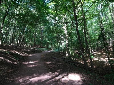 Eisenach - Aufstieg zur Wartburg