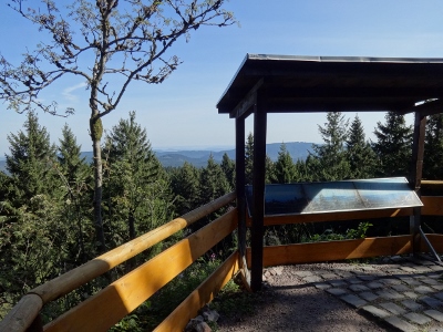 Von Schmiedefeld nach Oberhof - Großer Finsterberg