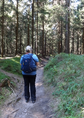 Von Schmiedefeld nach Oberhof - Plänckners Aussicht