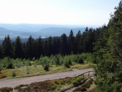 Von Schmiedefeld nach Oberhof - Plänckners Aussicht