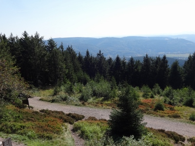 Von Schmiedefeld nach Oberhof - Plänckners Aussicht