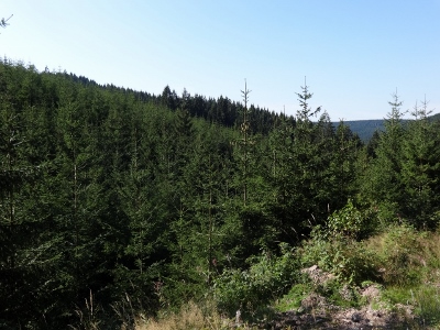 Von Schmiedefeld nach Oberhof - Umweg zum Ziel