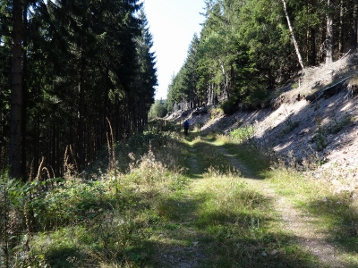 Von Schmiedefeld nach Oberhof - Umweg zum Ziel