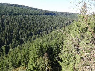 Von Schmiedefeld nach Oberhof - Umweg zum Ziel