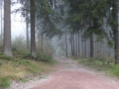 Von Oberhof nach Floh-Seligenthal - Start im Nebel