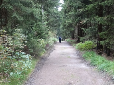Von Oberhof nach Floh-Seligenthal - Start im Nebel