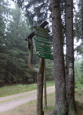 Von Oberhof nach Floh-Seligenthal - Tief im dunklen Wald