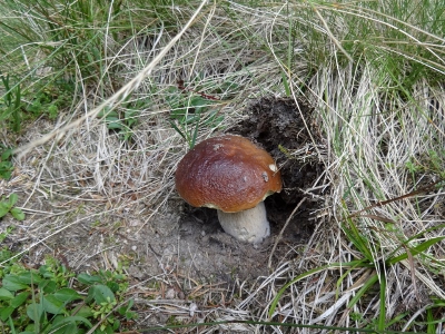 Von Oberhof nach Floh-Seligenthal - Vom Nebel in die Sonne