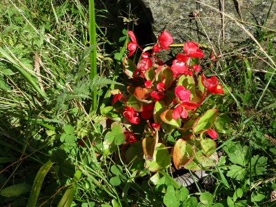 Von Oberhof nach Floh-Seligenthal - Vom Nebel in die Sonne