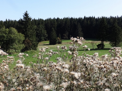 Von Oberhof nach Floh-Seligenthal - Ebertswiese