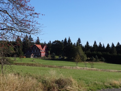 Von Floh-Seligenthal nach Ruhla (Rennsteighof) - Ebertswiese