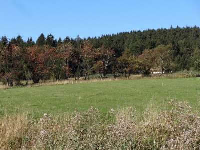 Von Floh-Seligenthal nach Ruhla (Rennsteighof) - Ebertswiese