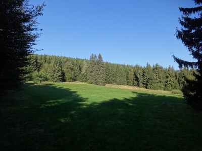 Von Floh-Seligenthal nach Ruhla (Rennsteighof) - Allein im Wald
