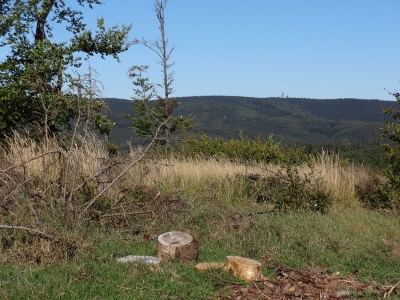 Von Floh-Seligenthal nach Ruhla (Rennsteighof) - Traumhafte Ausblicke