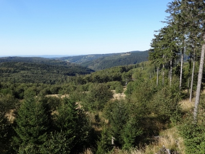 Von Floh-Seligenthal nach Ruhla (Rennsteighof) - Trockenberg