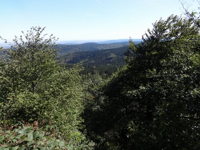Von Floh-Seligenthal nach Ruhla (Rennsteighof) - Großer Inselberg