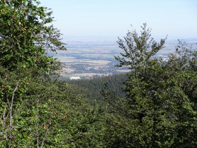 Von Floh-Seligenthal nach Ruhla (Rennsteighof) - Großer Inselberg