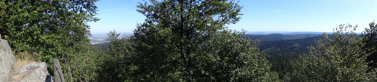 Von Floh-Seligenthal nach Ruhla (Rennsteighof) - Großer Inselberg