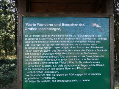 Von Floh-Seligenthal nach Ruhla (Rennsteighof) - Großer Inselberg