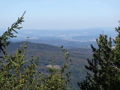 Von Floh-Seligenthal nach Ruhla (Rennsteighof) - Wartburgblick