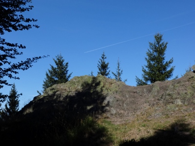 Von Floh-Seligenthal nach Ruhla (Rennsteighof) - In Ruhe durchs`s Reservat