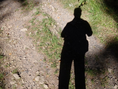 Von Floh-Seligenthal nach Ruhla (Rennsteighof) - Lange Schatten