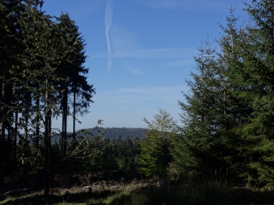 Von Floh-Seligenthal nach Ruhla (Rennsteighof) - Gemütlicher Endspurt