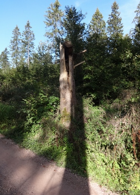 Von Ruhla nach Eisenach - Ein schöner Tag