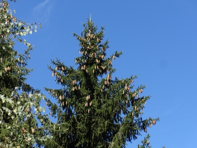 Von Ruhla nach Eisenach - Ein schöner Tag