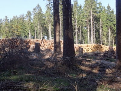 Von Ruhla nach Eisenach - Holzwirtschaft