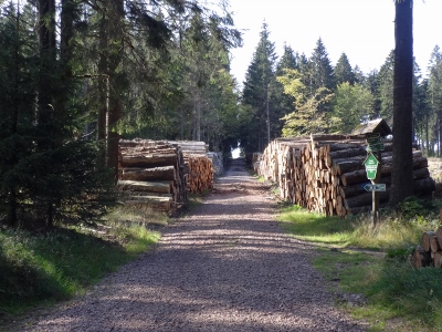 Von Ruhla nach Eisenach - Holzwirtschaft