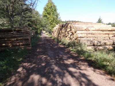 Von Ruhla nach Eisenach - Noch mal Feuerholz