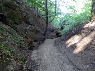 Von Ruhla nach Eisenach - Abwärts Richtung "Hohe Sonne"