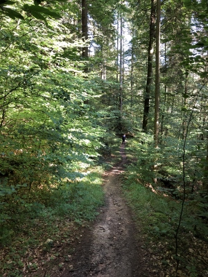 Auf dem Weg zum Schulerloch