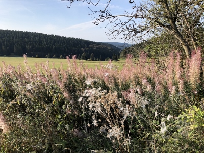 Von Masserberg nach Schmiedefeld - Traumwetter